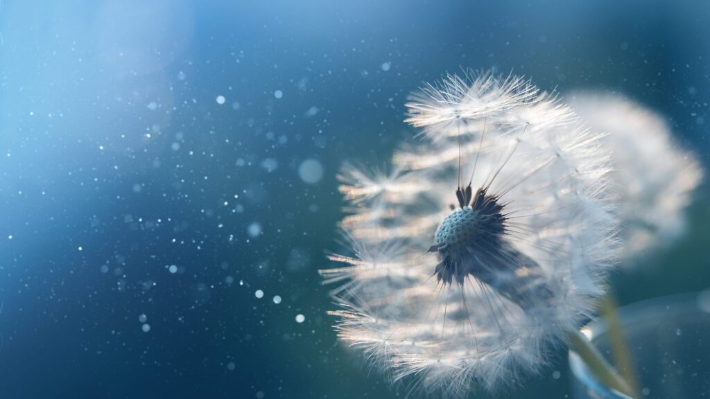 Natural Healthcare, Seaton Website Design